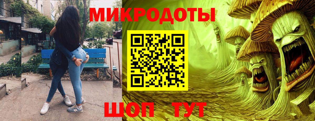 Псилоцибиновые грибы Psilocybe  Вход с VPN  Елабуга 