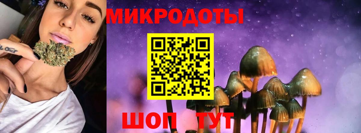Псилоцибиновые грибы Psilocybe Елабуга